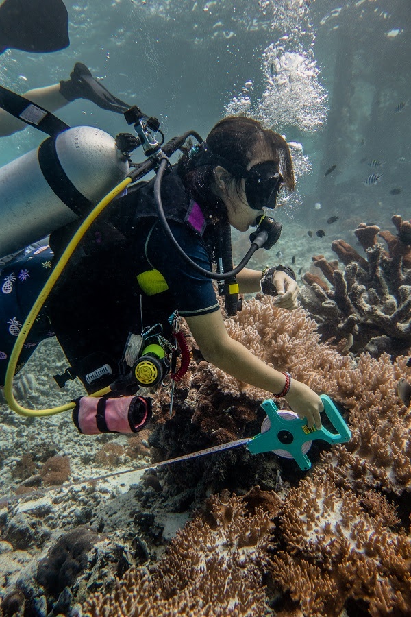 Reef Check Survey Dive