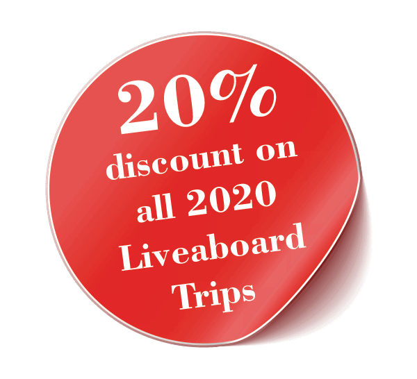 Raja Ampat Liveaboard discounts