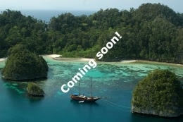 Expedition site Coming Soon....